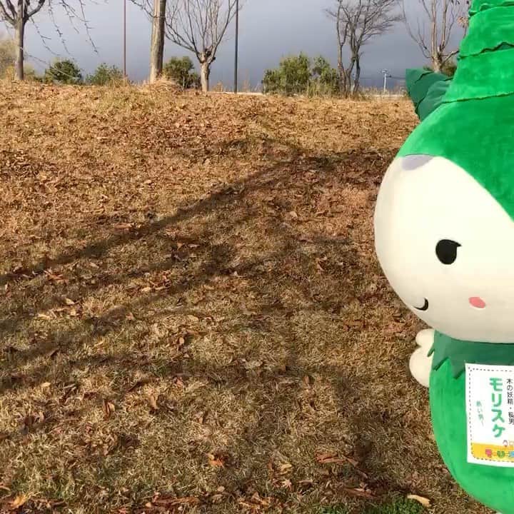 モーリーズのインスタグラム