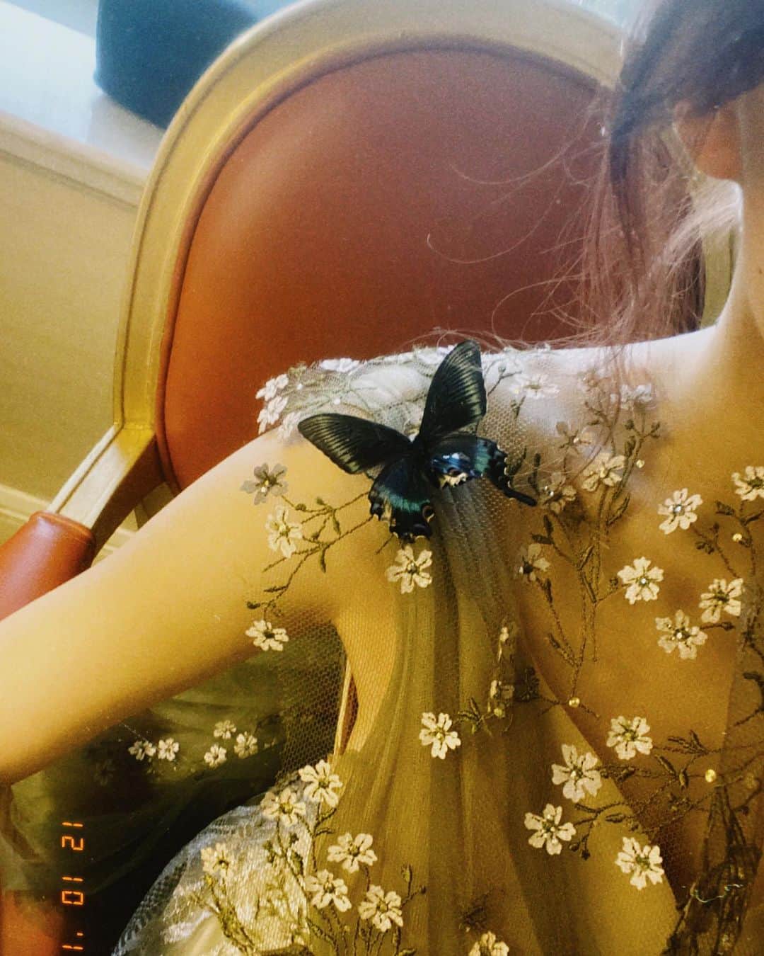 ソンソさんのインスタグラム写真 - (ソンソInstagram)「🦋」12月16日 11時01分 - chengxiao_0715