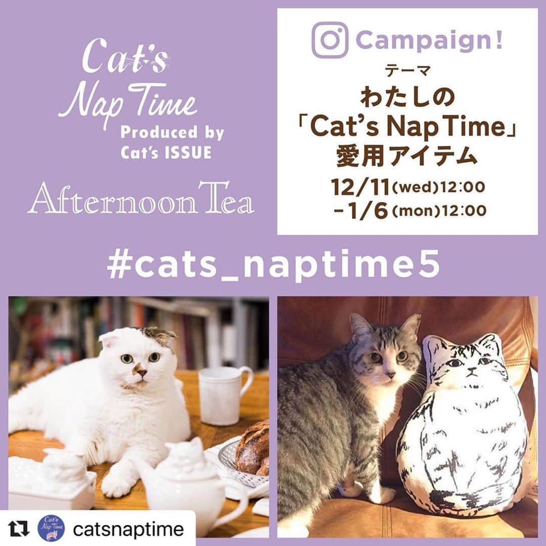 Afternoon Teaさんのインスタグラム写真 - (Afternoon TeaInstagram)「【わたしの「Cat’s NapTime」愛用アイテム投稿キャンペーン！】 ・ ネコ好きクリエイターとともにネコへの偏愛を発信するプロジェクト「Cat’s ISSUE」とのコラボレーション「Cat’s NapTime」の第5弾が、2020年2月中旬より登場します。アイテムの登場に先駆けて、インスタグラムにて投稿キャンペーンを開催中。投稿後に、応募フォームへの入力でもれなくプレゼントも！ぜひ、チェックしてくださいね。 ・ ・ #Repost @catsnaptime with @make_repost ・・・ わたしの「Cat’s NapTime」愛用アイテム投稿キャンペーン！投稿者全員プレゼントも！ ・ 2020年2月中旬、「Cat’s NapTime」の第5弾が登場！アイテムの登場に先駆けて、12/11(水)12:00～2020/1/6(月)12:00の期間中、投稿キャンペーンを開催！ ・ 第5弾では過去に販売されたアイテムがリバイバルで多数登場。そこで今回のキャンペーンは、過去に販売された「Cat's NapTime」アイテムで投稿者様ご本人が愛用しているアイテムの写真を大募集いたします。 ・ 投稿してくれた方には、全員にポストカードセット（非売品）をプレゼント！また、投稿していただいた写真の一部は、2020年2月中旬に配布予定のリーフレット、ブランドサイトの特設ページに掲載、またはこちらのアカウントでリポストさせていただきます。 ・ ・ 【応募期間】 12/11(水)12：00～2020/1/6(月)12：00 ・ 【応募方法】 🐱2ステップあります！必ずご確認ください🐱 ・ ■Step1 応募期間中に、過去にアフタヌーンティーで販売された「Cat's NapTime」のアイテムで投稿者様ご本人が愛用しているアイテムの写真をハッシュタグ「 #cats_naptime5 」をつけてインスタグラムに投稿してください。 ・ ※応募の際には必ず応募規約をご確認ください。応募規約はTOPページのURLリンク先に掲載しています。 ➡@catsnaptime ※ご応募いただいた時点で、リーフレット、WEBページへの写真の転載、インスタグラムのリポストを許可していただいたものといたします。ただし、人物、他ブランドのアイテムと一緒に写っている場合、画質が荒い場合には、あらかじめ掲載対象外（プレゼントは対象）となります。 ※過去の投稿を再投稿でもOKです。その場合にも、必ずハッシュタグ「 #cats_naptime5 」をつけて投稿してください。 ・ ■Step2 TOPページのプロフィールにあるURLよりプレゼント応募フォームに必要事項をご入力ください。写真を投稿しても、応募フォームにご入力のない場合には、プレゼント対象外となりますので、ご注意ください。 ➡@catsnaptime ・ ※プレゼント応募フォームは応募期間【12/11(水)12：00～2020/1/6(月)12：00】の期間のみアクセス可能です。 ※プレゼントはおひとり様1つです。複数投稿していただいた場合でもプレゼントは１つとなりますので、あらかじめご了承ください。 ※プレゼントの発送は2月中旬頃を予定しております。 ・ みなさまのご応募をお待ちしています。 ・ ・ ・ 【注意事項】 ※本キャンペーンにハッシュタグを付けて応募された場合には、当該応募規約に同意したものとみなします。万が一同意いただけない場合は応募を中止してください。 ※ご投稿された写真の著作権は応募者又は撮影者に帰属します。当社に譲渡いただくことはありません。ただし、投稿された全ての写真の中から、任意に選定した一部の写真について、当社の商品に関わる企画、開発、販売、販売促進活動、店内装飾および「Afternoon Tea」ブランドのホームページ等において、無償でしようさせていただくものとします。また、この場合、当社の判断により、トリミング、光調整などの加工・変更をさせていただく場合がありますので、あらかじめご了承ください。 ※ご投稿いただく写真は、応募者ご本人が撮影し、全ての著作権を有しているオリジナル作品に限らせていただきます。著作権その他第三者の権利を侵害する写真、人物の映っている写真、他人のプライバシーを侵害する写真の投稿は禁止とし、当社は一切責任を負いません。 ・ ・ ・ #cats_naptime5 #cats_naptime5_campaignguide #catsnaptime  #AfternoonTea #AfternoonTeaLIVING #アフタヌーンティー #アフタヌーンティーリビング #ネコ  #cats_naptime5_campaign」12月16日 11時21分 - afternoontea_official