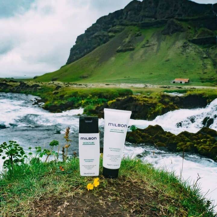 のインスタグラム：「Milbon Moisture Series is perfect for dull, dry, and porous hair. It reverses damage caused by repeated color service through weightlessly infusing moisture and ensuring long-lasting, vibrant color. ＝＝＝＝＝＝＝＝＝＝ Milbon official account. WE provide worldwide stylist-trusted hair products. On this account, we share how stylists around the world use Milbon products. Check out their amazing techniques! ＝＝＝＝＝＝＝＝＝＝ #milbon #globalmilbon #milbonproducts #hairdesign #haircut #haircare #hairstyle #hairarrange #haircolor #hairproduct #hairsalon #beautysalon #hairdesigner #hairstylist #hairartist #hairgoals #hairproductjunkie #hairtransformation #hairart #hairideas #beauty #shampoo #hairtreatment #beautifulhair #moisture #silkyhair」