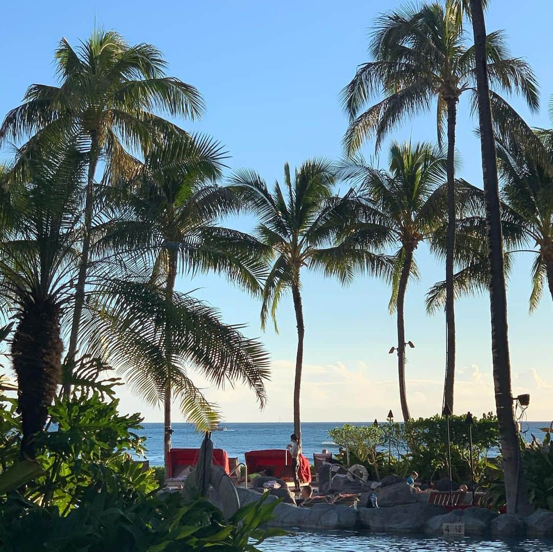 美香さんのインスタグラム写真 - (美香Instagram)「プライベートビーチ🏖で椰子🏝の木の下、読書とコナコーヒーで最高に幸せ💖 こういうとこで読書が大好き❤💕 この島には何十っ回も来てるけどバカンス中の人も現地の方もハッピーオーラが、幸福度が高くて好き💕 ヨーロッパリゾート🏝とは違う楽しさ💖楽しい💕  いつもあんまり飲まないカルフォルニアワインも🍷美味しく感じる⭐️🎶 日本で取り寄せて買ったマックス・ヴェーバーの 『プロテスタンティズムの倫理と資本主義の精神』を読んだ  要約すると、 愛がないから、稼げないんだ！と サービスを提供できない無能な 不要な人間であるから稼げないんだと、まぁ確かになんとなく資本主義の究極を語っていて面白かった⭐️⭐️🎶 #ロイヤルハワイアンホテル  #waikiki🌴  #読書好きな人と繋がりたい  #お金  #新刊  #お金も愛も手に入れる生き方働き方  #お金を稼ぐ  #資産運用  #投資  #不動産  #女性起業家交流会」12月16日 12時25分 - mika_richlife