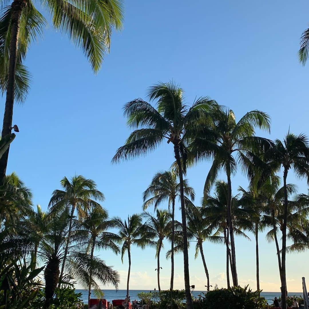 美香さんのインスタグラム写真 - (美香Instagram)「プライベートビーチ🏖で椰子🏝の木の下、読書とコナコーヒーで最高に幸せ💖 こういうとこで読書が大好き❤💕 この島には何十っ回も来てるけどバカンス中の人も現地の方もハッピーオーラが、幸福度が高くて好き💕 ヨーロッパリゾート🏝とは違う楽しさ💖楽しい💕  いつもあんまり飲まないカルフォルニアワインも🍷美味しく感じる⭐️🎶 日本で取り寄せて買ったマックス・ヴェーバーの 『プロテスタンティズムの倫理と資本主義の精神』を読んだ  要約すると、 愛がないから、稼げないんだ！と サービスを提供できない無能な 不要な人間であるから稼げないんだと、まぁ確かになんとなく資本主義の究極を語っていて面白かった⭐️⭐️🎶 #ロイヤルハワイアンホテル  #waikiki🌴  #読書好きな人と繋がりたい  #お金  #新刊  #お金も愛も手に入れる生き方働き方  #お金を稼ぐ  #資産運用  #投資  #不動産  #女性起業家交流会」12月16日 12時25分 - mika_richlife