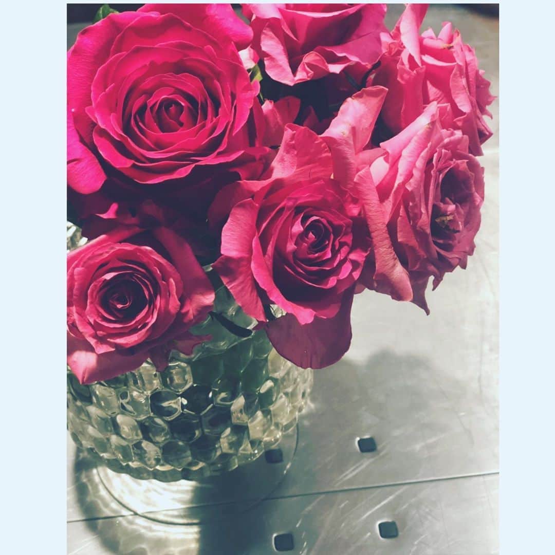 神崎恵さんのインスタグラム写真 - (神崎恵Instagram)「新しい週の始まり。 家の中が鮮やかな色とみずみずしい香りに満たされています。 たくさんのメッセージ、ありがとうございます😌 今年のメッセージも、しっかり保存！！ 大切にします。 これからも、どうぞよろしくお願いいたします✨ 今週は、すごい週。 撮影や打ち合わせがぎゅぎゅぎゅと。 ラストスパートの始まりを体感中。 頑張ります。 いってらっしゃい✨ いってきます！  #大切な方々からいただいたお花 ありがとうございました😌✨」12月16日 12時29分 - megumi_kanzaki