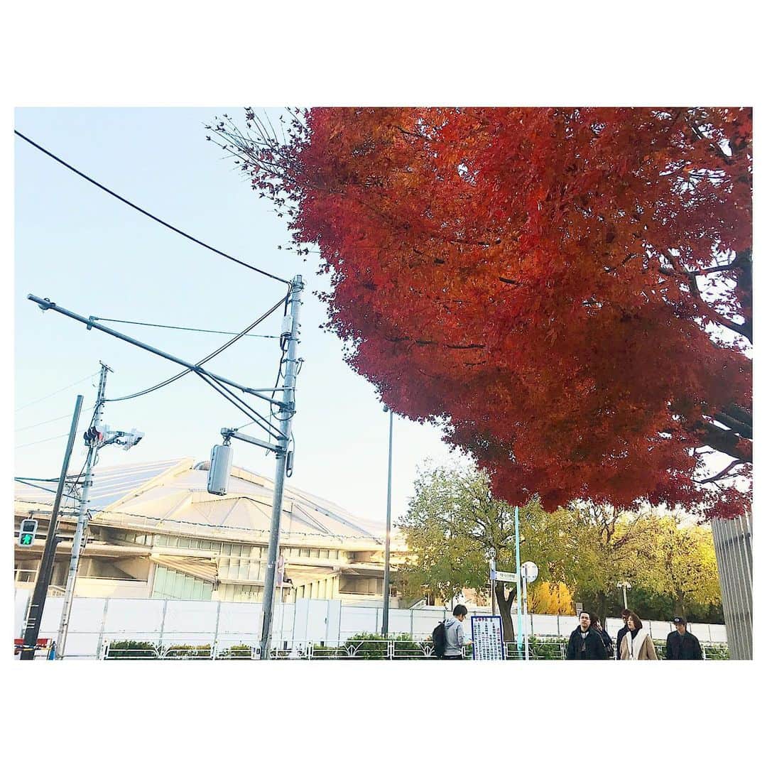 藤森香衣のグルメインスタ