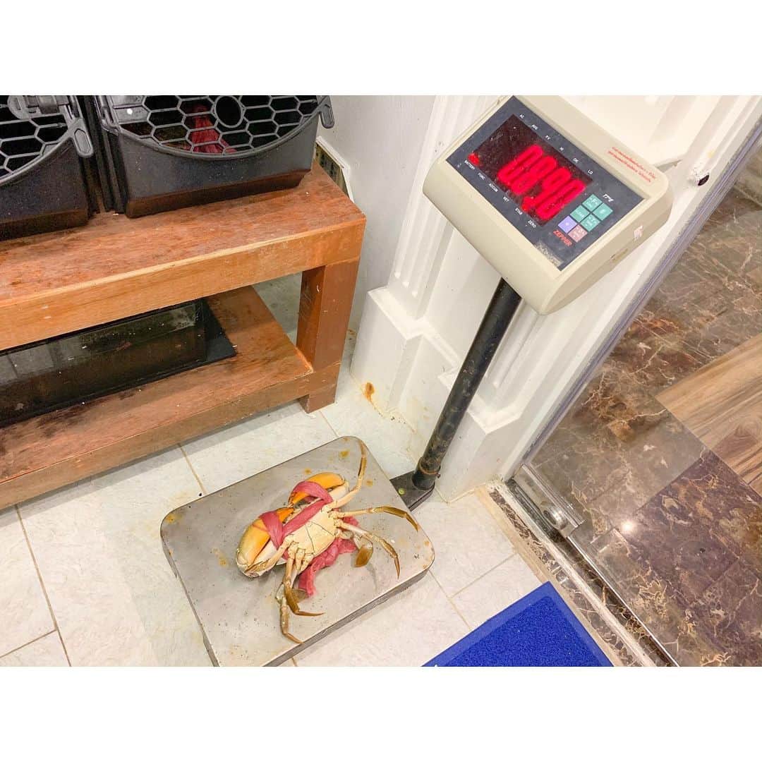 安蒜幸紀さんのインスタグラム写真 - (安蒜幸紀Instagram)「. . ✈Thailand . バンコクで美味しいプーパッポンカリーを食べるなら 私はここ『SAVOEY SEAFOOD』🍽 . 自分でたくさんの水槽の中にいる蟹を選んで 新鮮な蟹を使ったプーパッポンカリーを 作ってくれます🦀 . 蟹の美味しさはもちろん！ 味付けもばっちりです😋 . 今回はいつもお世話になっている 美容サロンさんの美容研修旅行で 一緒にバンコクを周らせてもらいました🙏✨ . #タイ#タイ旅#タイ旅行#旅#旅行#旅の思い出#女子会#懇親会#バンコク#レストラン#サヴォイシーフード#シーフード#蟹#カニ#プーパッポンカリー#カレー#フリーアナウンサー#アナウンサー」12月16日 13時04分 - ambirusaki