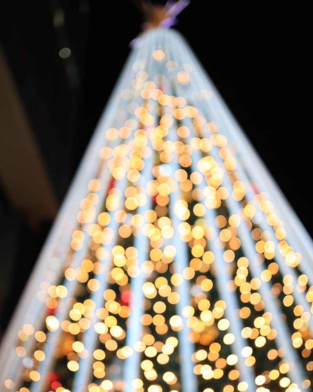 深沢紗希のインスタグラム：「🎄🎄 #クリスマス#ツリー#クリスマスツリー#ついつい撮っちゃう#写真好きな人と繋がりたい #canon#イルミネーション#eoskissm#たまぼけ」