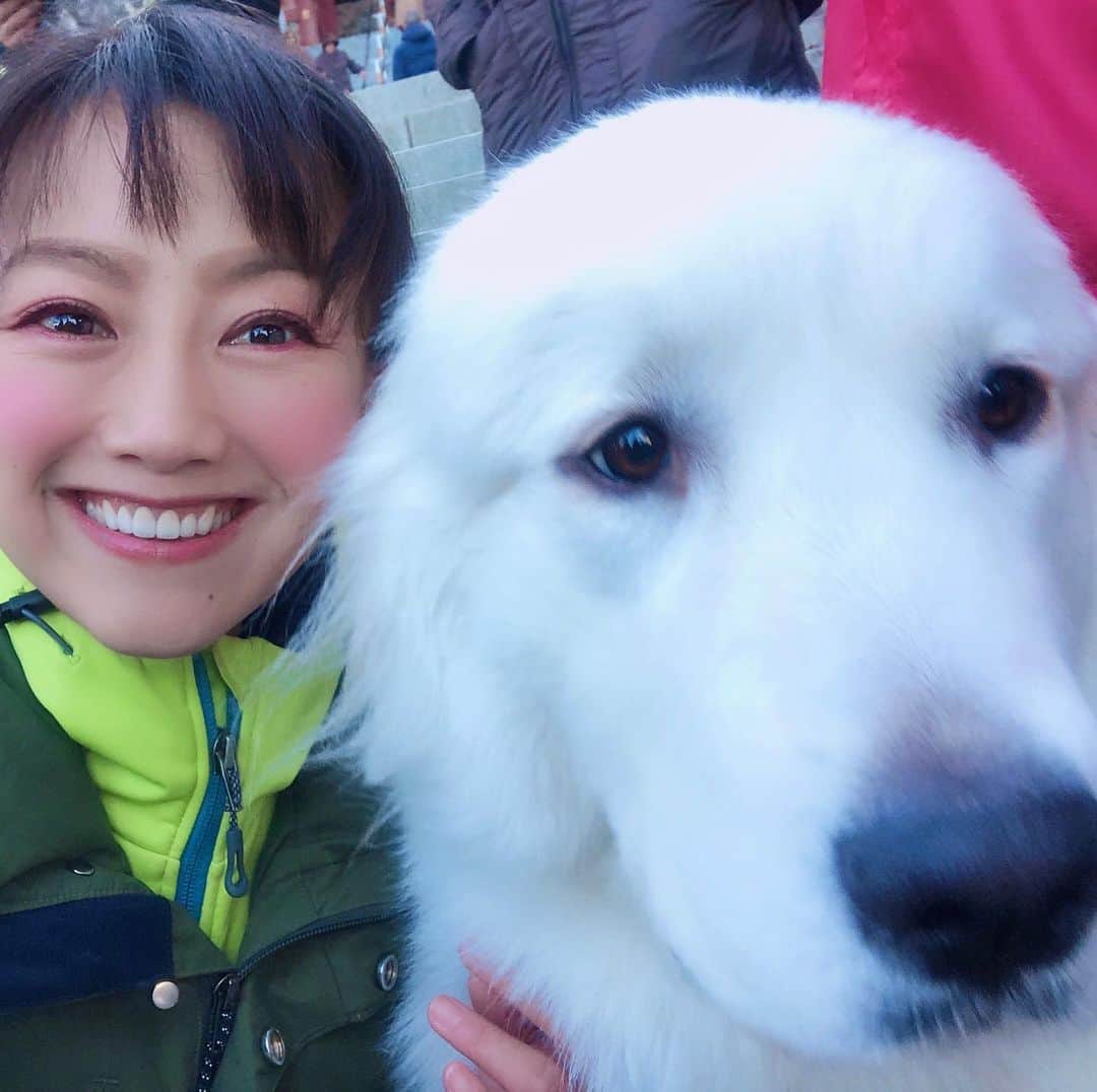 のインスタグラム：「和歌山から大阪に来ております😊  今日もワンちゃんとの写真❤ 先日の、みたけ山トレイルランの時に会ったワンちゃん🐶  何度かお会いしているワンちゃんですが、この子も可愛過ぎる✨🥰✨ みたけと言えば…‼️‼️‼️ 12月22日(日)にもイベントやらせていただきます🎉  福島和可菜による ONE TOKYOメンバー応援企画 福島和可菜のみたけdeラン♪Run♪ 2019年走り納め！クリスマストレイルジャーニー＆BBQ忘年会♪  ゲストには御岳を知り尽くしているトップランナー栗原孝浩さんが来て下さいます✨  約20km、トレイルを走ってから、 豪華なBBQクリスマスパーティーを開催する予定  本日まで受付中ですので、スケジュールが大丈夫な方はぜひ✋  ご参加お待ちしていまーす㊗️㊗️㊗️ よろしくお願い致します🌈  #走って #BBQ #最高じゃないですか #ぜひ #ご検討下さい #ONE #TOKYO #member #応援企画 #御岳 #trail #running #trailrunning #トレラン #MOUNTAIN #Xmas #クリスマス #トレイル #ジャーニー #Journey #トレーニング #からの #乾杯 #楽しいに決まってる #🏃 #🍖 #🍗 #🍺 #🎄 #🐶」