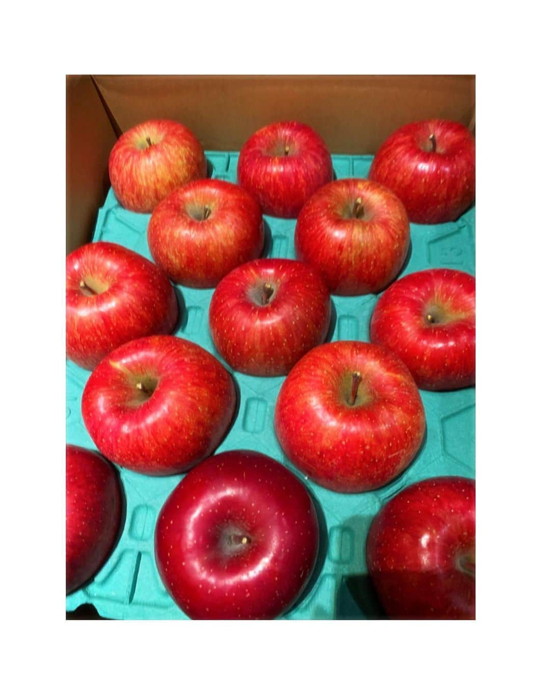 吉岡里帆さんのインスタグラム写真 - (吉岡里帆Instagram)「NHK「平成万葉集」で故郷福島への想いを 取材させて頂いた方から福島産のりんごが届きました！  甘くて蜜たっぷりの美味しいりんごです。 舞台の皆んなと食べています。感謝です。  14時半から「平成万葉集」が再放送。 ㊗️映文連アワード2019 優秀企画賞受賞。  #平成万葉集 #福島」12月16日 14時21分 - riho_yoshioka