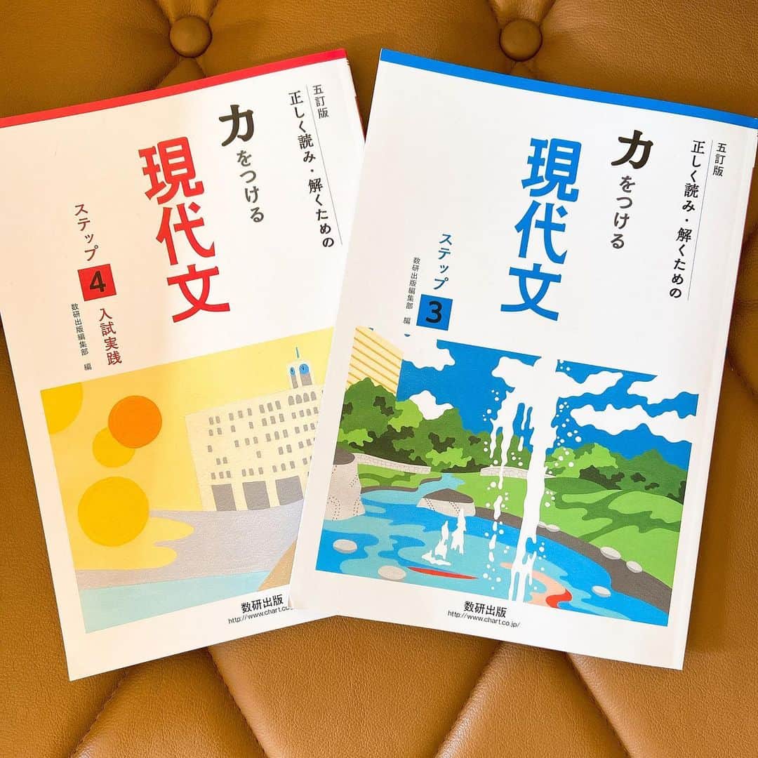 のインスタグラム：「力をつける現代文(数研出版)の表紙イラスト担当しました😊 I drew illustrations on the covers of two books 📚  #japaneseartist #liveintokyo #myartwork #acrylicpainting #art #artoftheday #happyart #loveart #lovejapan #lovedogs #アート #絵 #数研出版 #現代文」