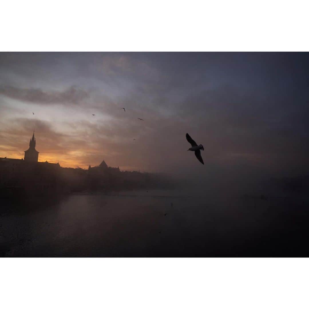 エマニュエル・ルベツキのインスタグラム：「Praha.」