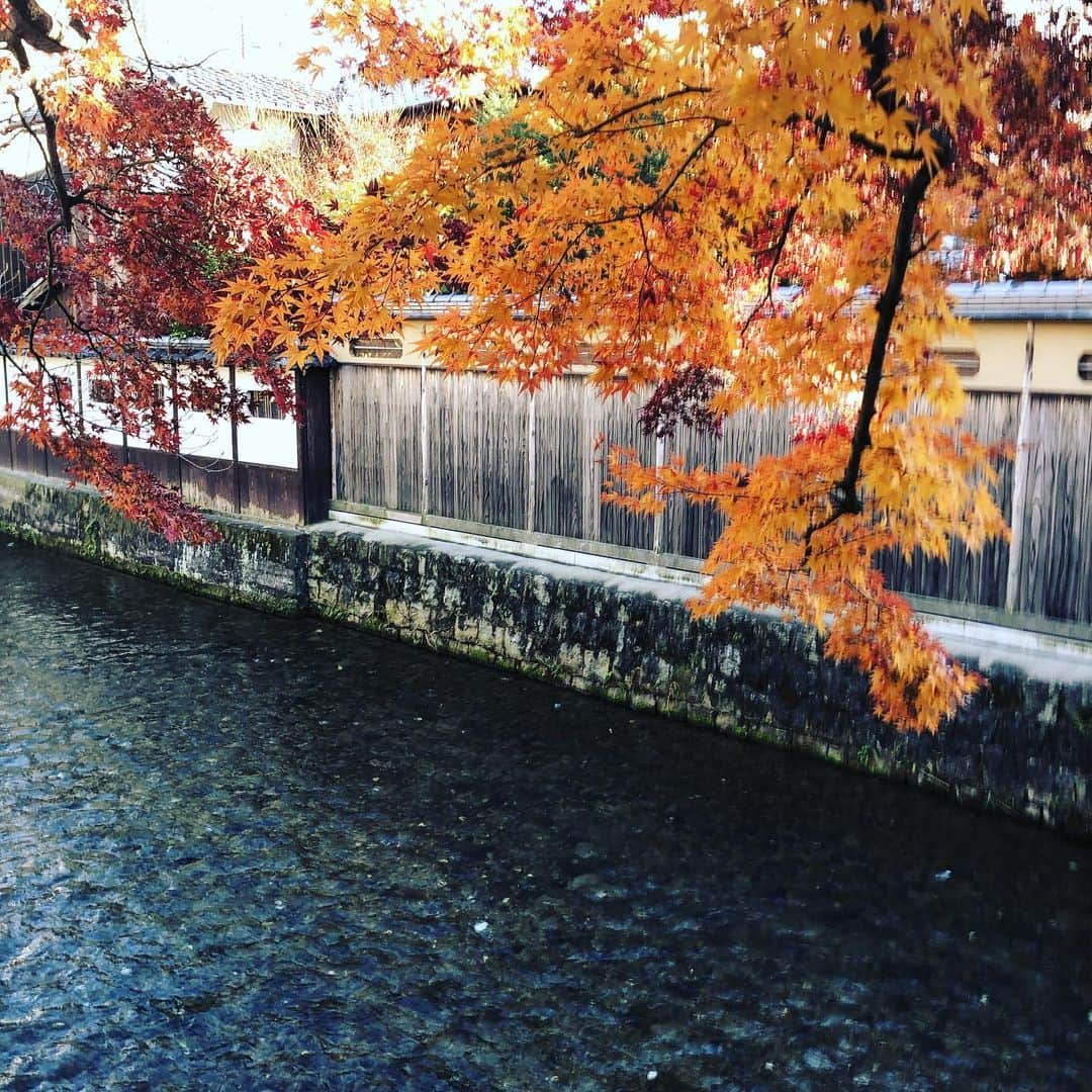 桂紗綾さんのインスタグラム写真 - (桂紗綾Instagram)「京都。 良いお天気でした。  1月にある着物パーティの司会に関する打ち合わせでした。 その後大好きなお店に。 着物のことばかり考える一日でした。  #やゝ京都」12月16日 16時54分 - saaya_katsura_abc
