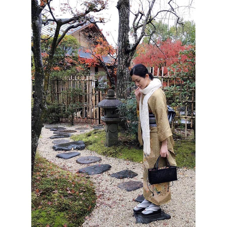 竹中友紀子のインスタグラム：「#アンティーク着物  12月初めの京都にて。 紅葉の時期と重なり、かなり賑わっていました^ ^ お着物はアンティークの色留袖。敢えての博多帯との合わせでカジュアルに。 雨上がりだったので、柄入りの足袋にしました。」