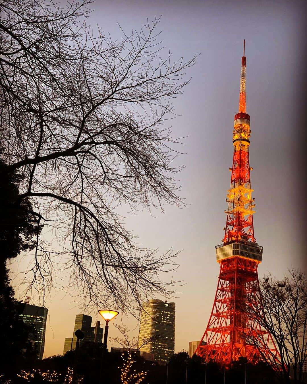 有森裕子さんのインスタグラム写真 - (有森裕子Instagram)「久しぶりの東京タワー🗼」12月16日 17時27分 - arimori.yuko33