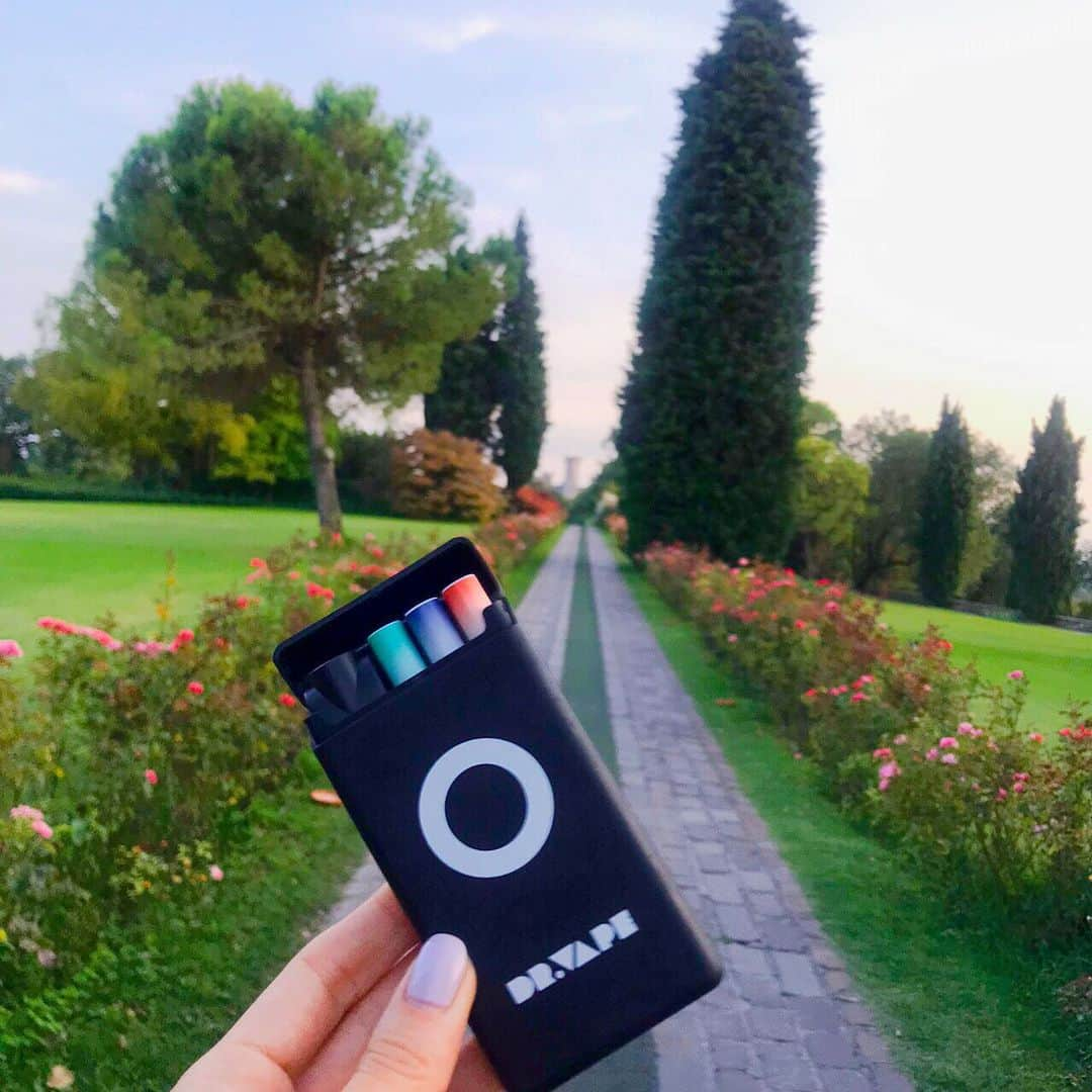 DR.VAPEさんのインスタグラム写真 - (DR.VAPEInstagram)「イタリアにある、Parco Giardino Sigurta の公園の中を散歩中。  バラが立ち並ぶ道の視界の先にCastello Scaligeroが見える素敵な眺めを楽しみDr.Vapeも年末の忙しさを忘れてしばしリラックス 🏰🌹☺️ ＊ ＊ #DRVAPE#VAPE#italy#travelgram#traveltotheworld#instagood#travel#ドクターベープ#べイプ#イタリア#庭園#思い出#旅行#タビジョ#世界旅行#健康#旅行好きな人と繋がりたい#禁煙#禁煙グッズ#タバコ#禁煙したい#旅好き#グルメ好き#イタリア旅行#旅ジョ#電子タバコ#アロマスティック#旅好きな人と繋がりたい」12月16日 19時43分 - dr.vape_official