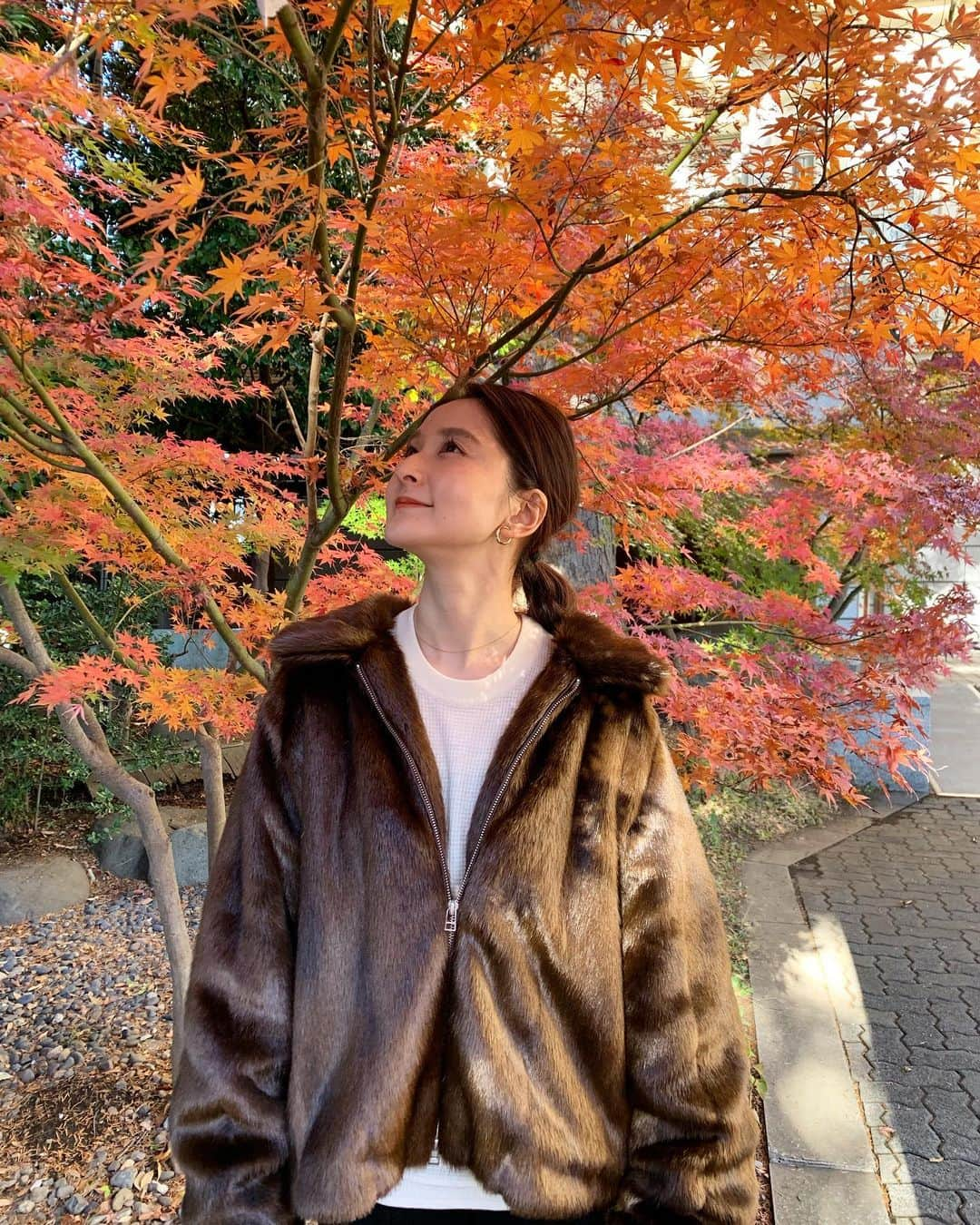 海下真夕さんのインスタグラム写真 - (海下真夕Instagram)「. 🍁🍁🍁 . . . 今年は暖かくて、紅葉も12月でも見れましたね😊 季節を感じられる場所、時間、好きです☺️ . . もういくつ寝ると、、、、 カウントダウンが始まってます。  #プチ旅 #川越 #川越散策 #紅葉 #氷川神社」12月16日 20時07分 - kaigeworld