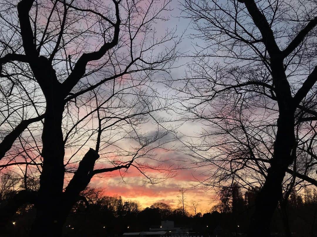 アヤメさんのインスタグラム写真 - (アヤメInstagram)「What a sunset, just happy to have this view... 冬になりました❄️ #sunsetspotting #sunsetspotters #散歩 #夕焼けスポッティング」12月16日 20時31分 - ayame_socks