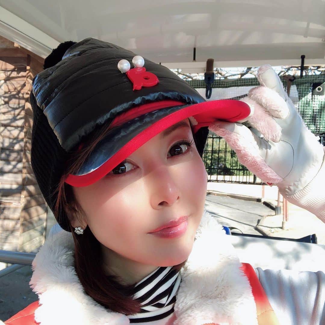 宮崎宣子さんのインスタグラム写真 - (宮崎宣子Instagram)「今日は、ゴルフコンペ⛳️🏌️‍♀️ 到着時0度だったけど、 このダウンのウェアのおかげでポカポカ🥰 おかげで、前半はバーディーも パーも出て46だった✨ 後半は聞かないで🤫笑  #ゴルフコンペ #埼玉県 #寒かったけど楽しかった  #防寒コーデ  #golfwear  #archivio」12月16日 20時53分 - miyazaki_nobuko