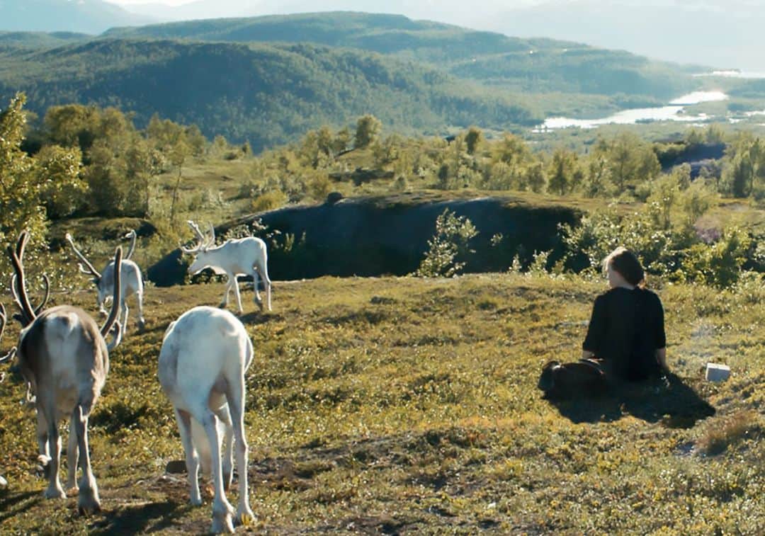 UPLINK film distributionさんのインスタグラム写真 - (UPLINK film distributionInstagram)「#Amazonプライムビデオ、プライム会員見放題で『#サーミの血』配信スタート⚡⚡⚡ 北欧スウェーデン、知られざる迫害の歴史―。幻想的で美しい自然の大地ラップランドに、サーミの歌が響く。 ・・・ 世界で大ヒット中の『#アナと雪の女王2』。クリストフや、架空の民「ノーサルドラ」のモデルになったと言われるのが、北欧の先住民「サーミ人」。ディズニーは、今回の続編にあたりサーミ人の代表と契約を締結したそうです。 アップリンクでは映画『サーミの血』を配給しています。映画の主な舞台となる1930年代、スウェーデンのサーミ人は他の人種より劣った民族として差別されていました。監督のアマンダ・シェーネルはサーミ人の血を引いており、自身のルーツをテーマにした短編映画を撮った後、長編映画デビュー作となる本作でも同じテーマを扱いました。 また、主演のレーネ＝セシリア・スパルロクは、今もノルウェーでトナカイを飼い暮らしているサーミ人であり、劇中の民族衣装、小道具、トナカイの扱いなどはすべて正確に再現されています。 『アナと雪の女王2』でサーミ人の文化に興味を持たれた方は、是非『サーミの血』ご覧ください。 ・・・ アマンダ・シェーネル監督「多くのサーミ人が何もかも捨てスウェーデン人になったが、私は彼らが本当の人生を送ることが出来たのだろうかと常々疑問に思っていました。この映画は、故郷を離れた者、留まった者への愛情を少女エレ・マリャ視点から描いた物語です」」12月16日 21時27分 - uplink_film