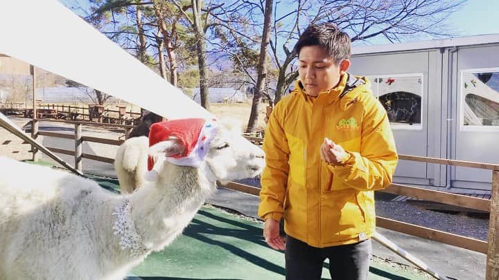 松山航大のグルメインスタ