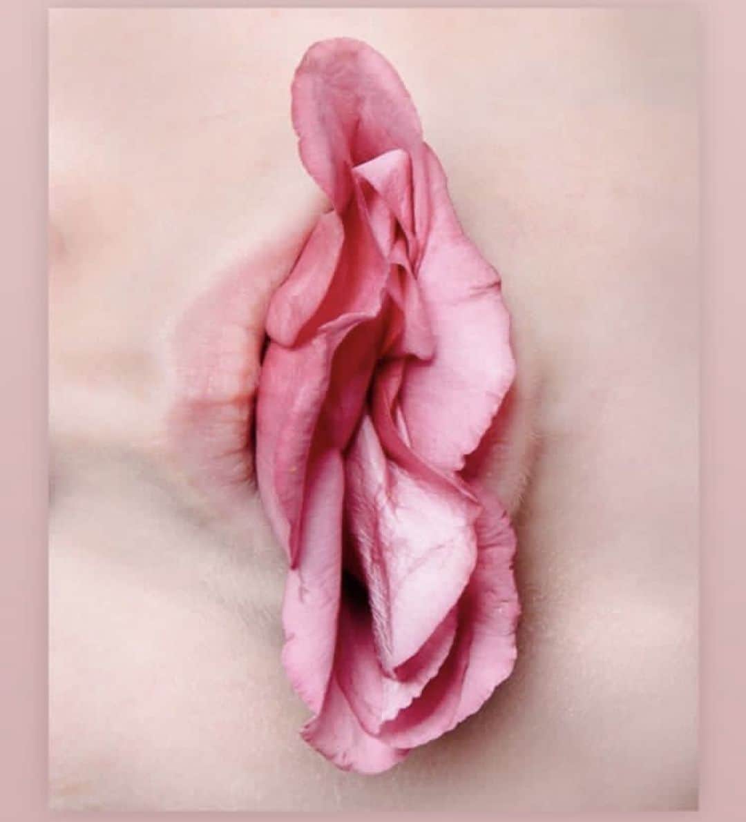 カーラ・デルヴィーニュのインスタグラム：「🌺🥀🌹🌷💐」