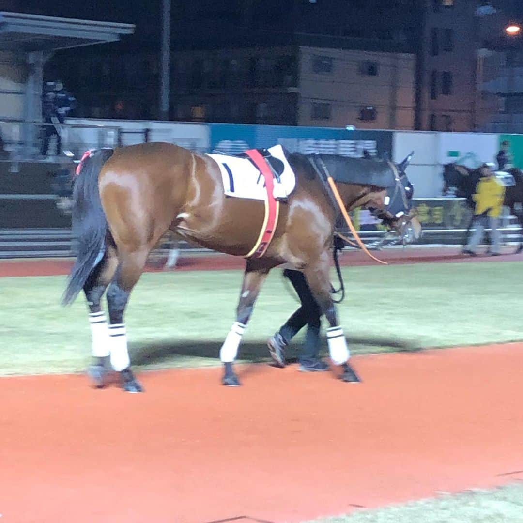 岡部玲子のインスタグラム