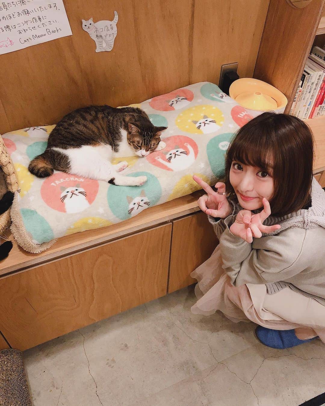 東なつ紀のインスタグラム：「猫がいる本屋さんに行ってきた🐱 猫の本だらけ！幸せ空間やった！  #猫の本屋さん #猫ビール #三軒茶屋 #保護猫」