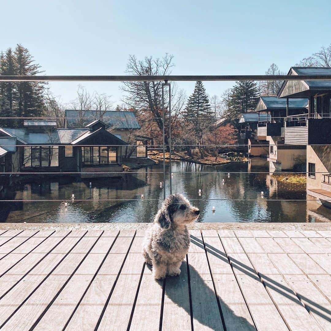 三浦大地のインスタグラム