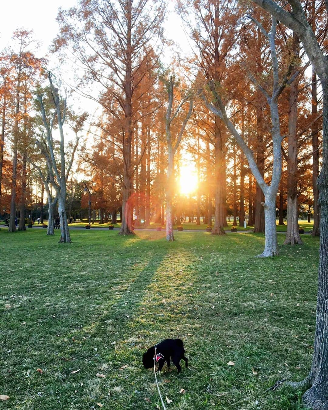 かすみりさのインスタグラム