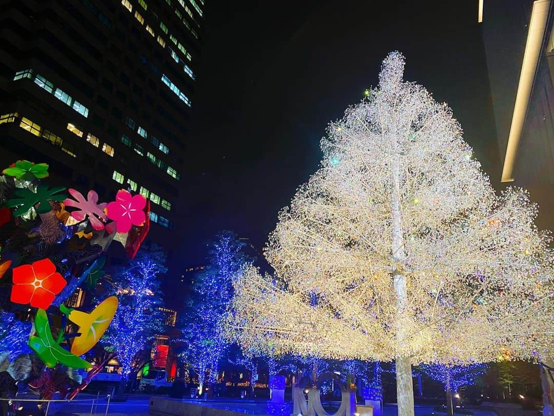 興梠友理さんのインスタグラム写真 - (興梠友理Instagram)「・ 🎄Crystal Christmas Tree🎄 ・ 仕事帰りにプチ散歩して今年初めてのクリスマスイルミネーション✨ ・ 箱根ガラスの森美術館とコラボしたクリスタルツリーだそうです☺️ ・ #東京ガーデンテラス紀尾井町 #kioi_crystal  #イルミネーション #クリスマスイルミネーション #illumination #christmasillumination」12月16日 22時55分 - yuri_rogi