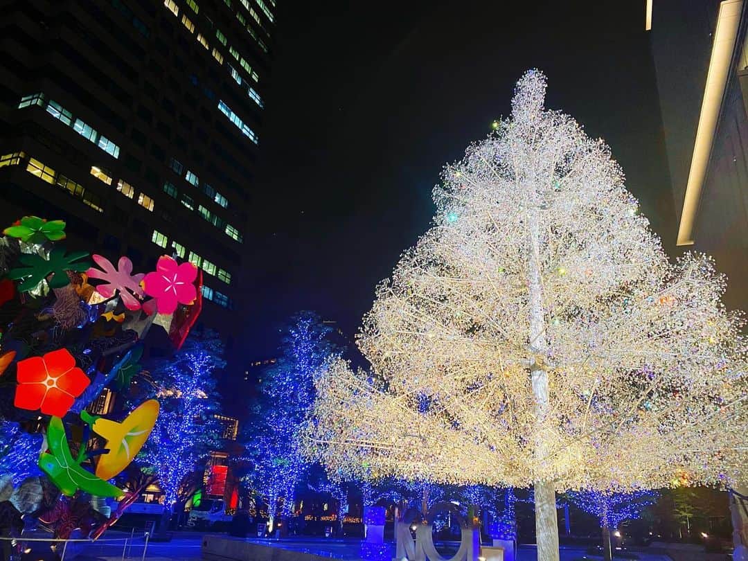 興梠友理のインスタグラム：「・ 🎄Crystal Christmas Tree🎄 ・ 仕事帰りにプチ散歩して今年初めてのクリスマスイルミネーション✨ ・ 箱根ガラスの森美術館とコラボしたクリスタルツリーだそうです☺️ ・ #東京ガーデンテラス紀尾井町 #kioi_crystal  #イルミネーション #クリスマスイルミネーション #illumination #christmasillumination」