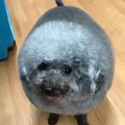 レナ・ヘディのインスタグラム：「This feels highly representative of me during PMS week ... little bit wobbly .. will eat anything 😂😍😍😍」