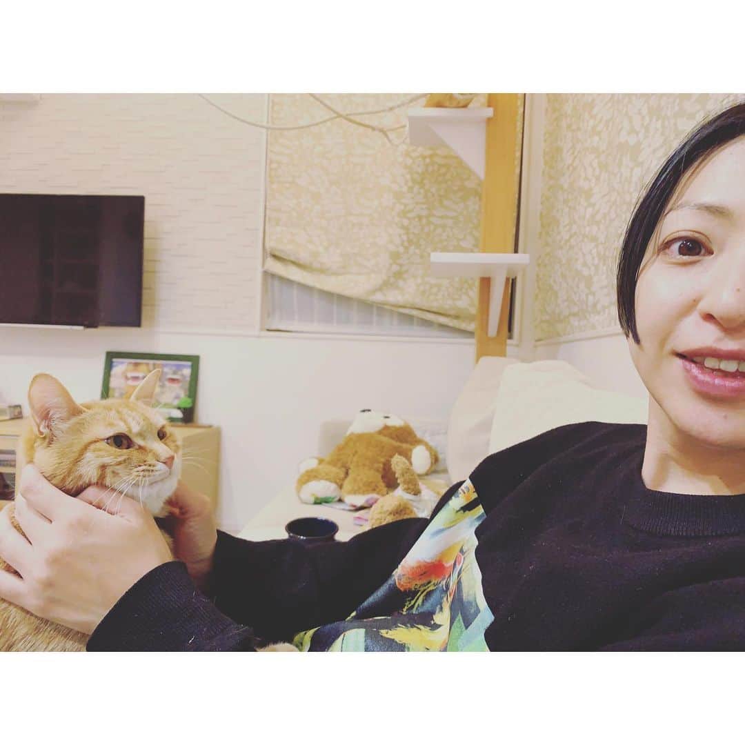 のインスタグラム：「わしゃ。わしゃわしゃ。わしゃわしゃわしゃ。  #oto_no_koto #保護猫」