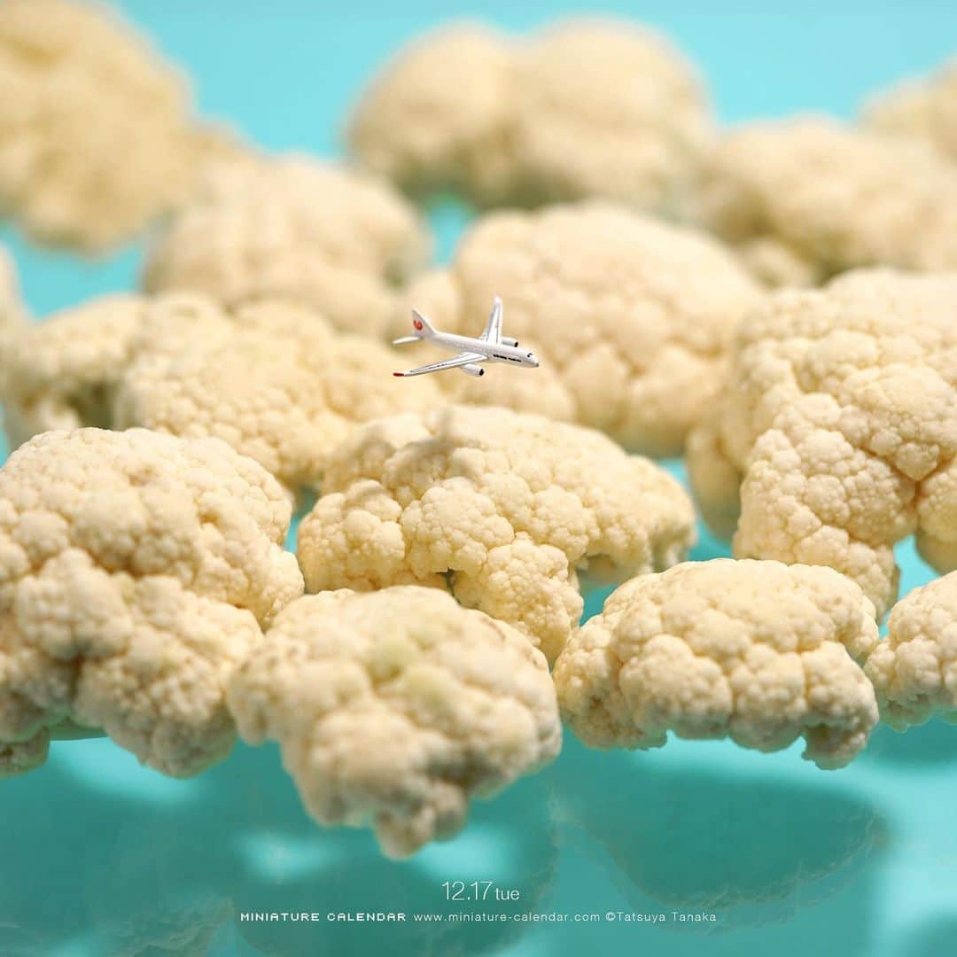 のインスタグラム：「. 12.17 tue “Cauli-flight” . クラウドを食らうど . #飛行機の日 #カリフラワー #雲 #このあとおいしくいただきました #Cauliflower #Cloud #GEOCRAPER . ─────────────── 《Exhibition info》 . 【small MUJI vol.1“Miniature”】 11.8 fri - 2.29 sat at MUJI Kamppi Helsinki #smallMUJI #MUJIKamppiHelsinki . ─────────────── 《Coming Soon》 . 【微型展 2.0 台中站】 MINIATURE LIFE EXHIBITION2 in Taichung 12.20 fri - 3.1 sun 〈12.20 fri ,Signing Event!〉 at 台中文化部文化資產園區 國際展演館 #微型展 #田中達也微型展 . 【MINIATURE LIFE展 in 宮崎】 MINIATURE LIFE EXHIBITION in Miyazaki 12.27 fri - 1.8 wed at 宮崎山形屋 . 【MINIATURE LIFE展 in 千葉】 MINIATURE LIFE EXHIBITION in Chiba 12.28 sat - 1.8 wed at そごう千葉店 #MINIATURELIFE展 #ミニチュアライフ展 .」