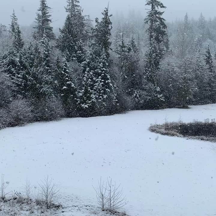 サム・クラフリンのインスタグラム：「It’s beginning to look a lot like Christmas...」