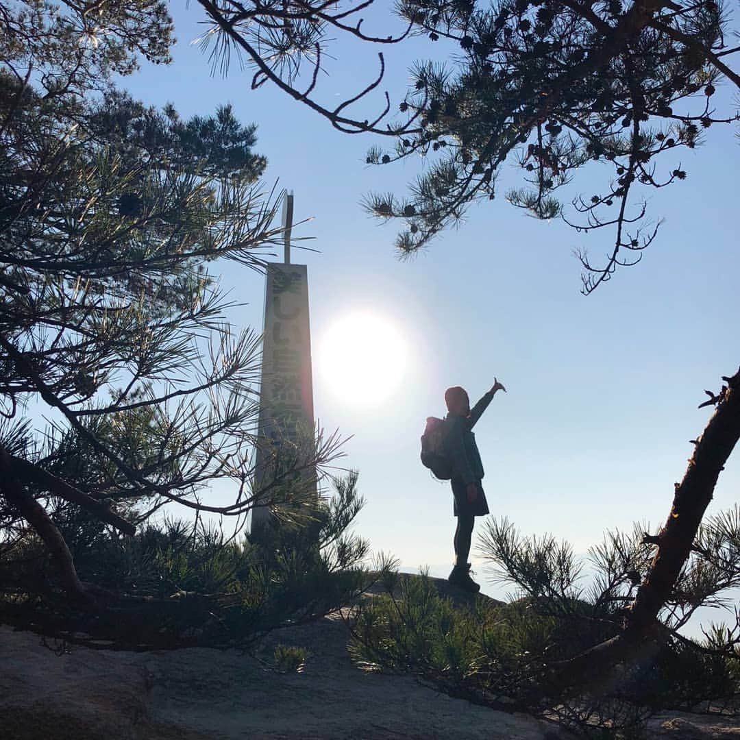 桜花さんのインスタグラム写真 - (桜花Instagram)「おはようございマウンテン🗻🍀 本日もナイスな１日にいたしましょ✨  #羅漢寺山 #山  #山登り  #山梨県 #キラキラ」12月17日 10時42分 - mountainohka