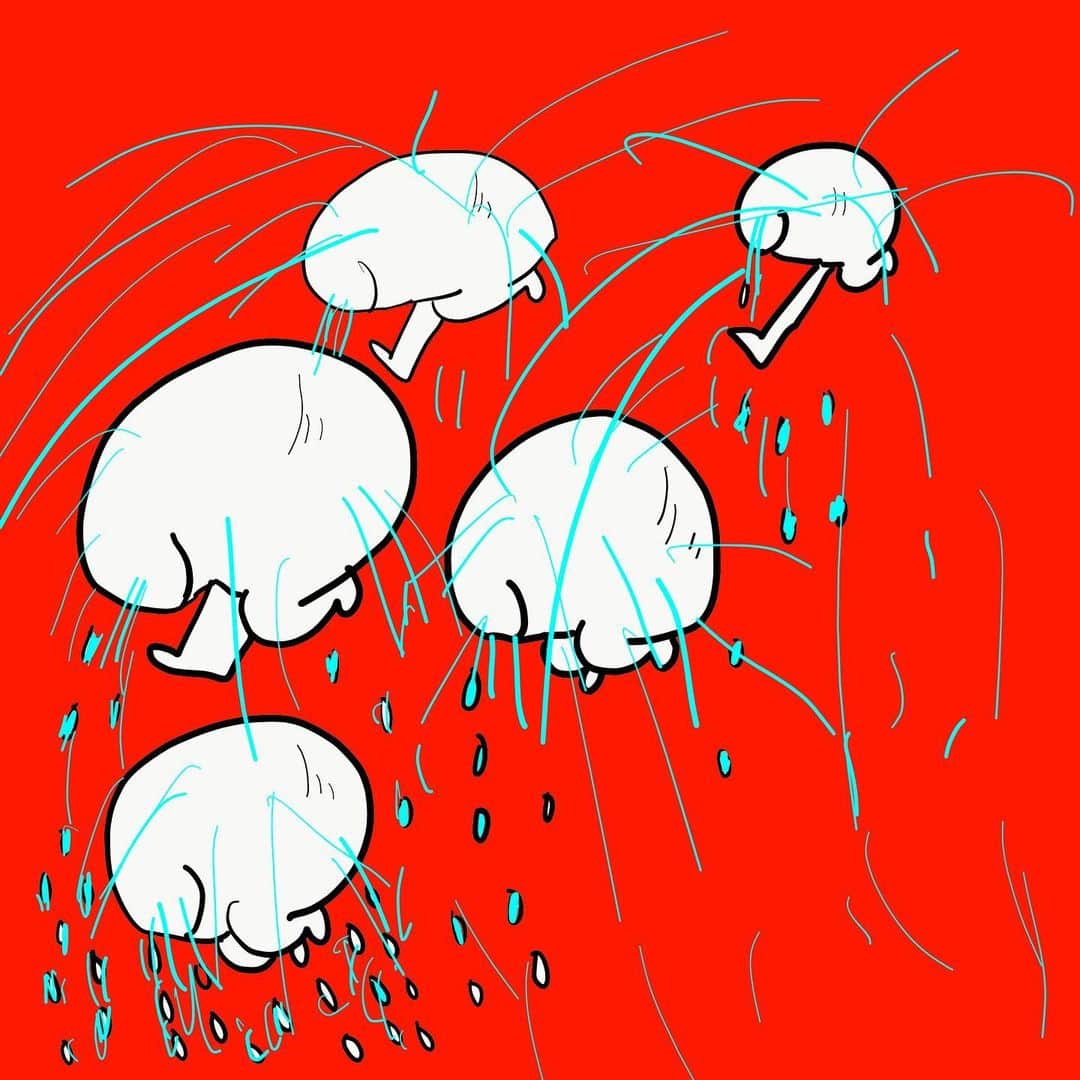橋本小雪（日本エレキテル連合）さんのインスタグラム写真 - (橋本小雪（日本エレキテル連合）Instagram)「雨家族 #噂の #家族で雨を降らすよ」12月17日 2時59分 - elekitel_kokiyu