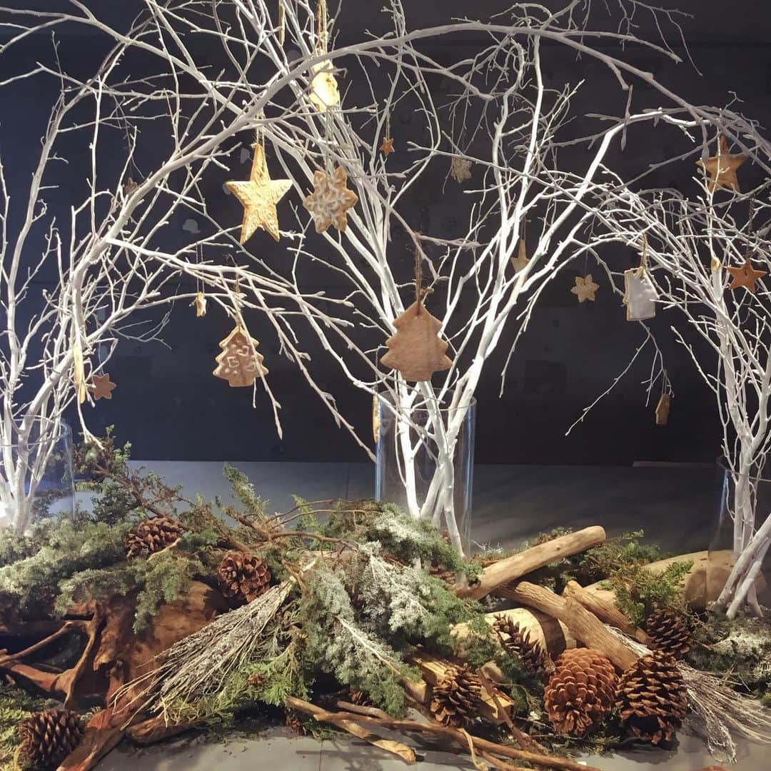 TODAY'S SPECIALのグルメインスタ