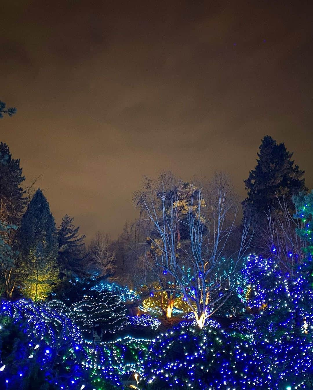 ルビー・ローズさんのインスタグラム写真 - (ルビー・ローズInstagram)「If you haven’t been to Vandusen gardens and seen the amazing lights display.. I can’t recommend it enough.」12月17日 5時58分 - rubyrose