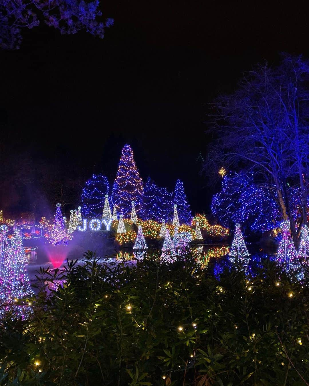 ルビー・ローズさんのインスタグラム写真 - (ルビー・ローズInstagram)「If you haven’t been to Vandusen gardens and seen the amazing lights display.. I can’t recommend it enough.」12月17日 5時58分 - rubyrose