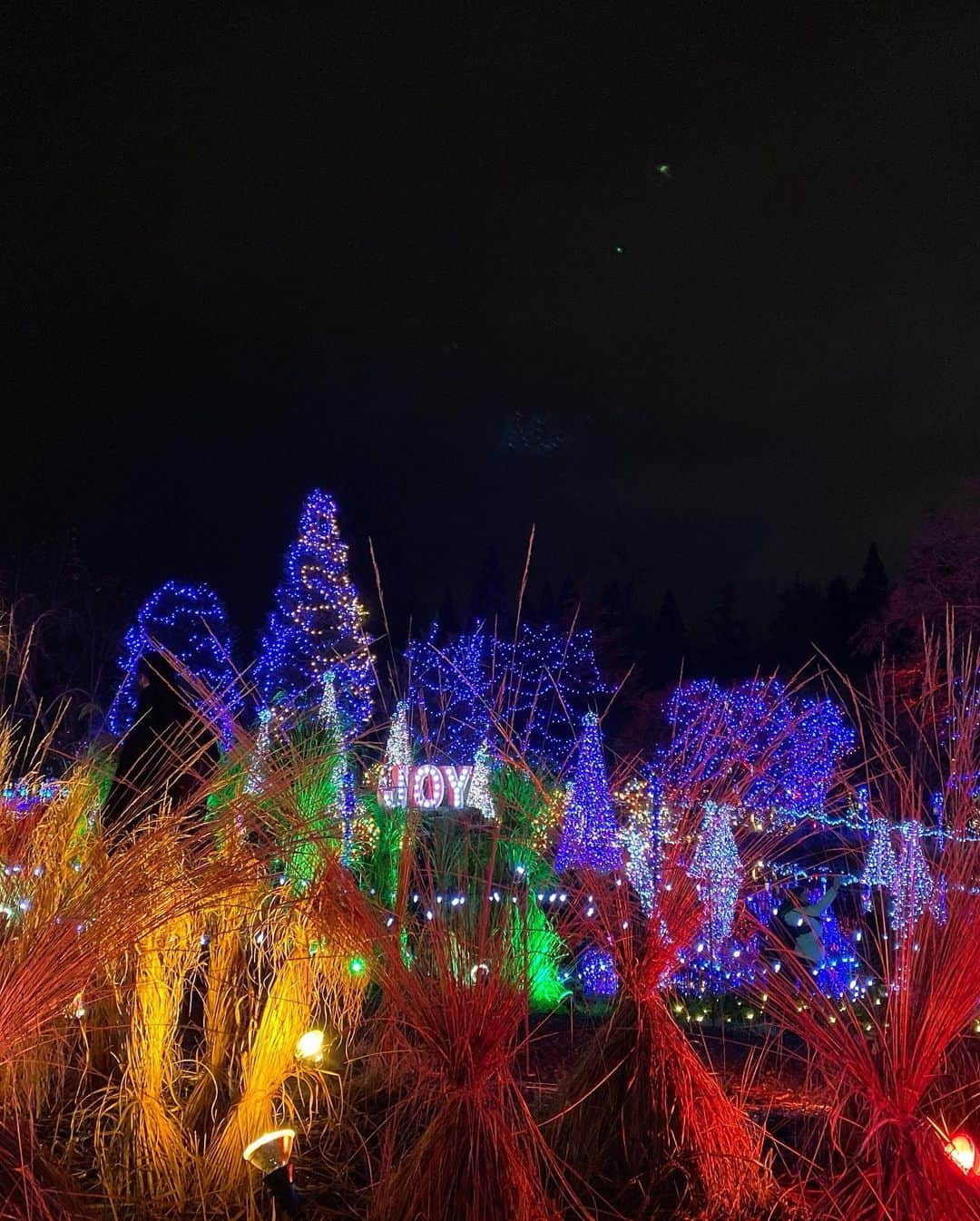 ルビー・ローズさんのインスタグラム写真 - (ルビー・ローズInstagram)「If you haven’t been to Vandusen gardens and seen the amazing lights display.. I can’t recommend it enough.」12月17日 5時58分 - rubyrose