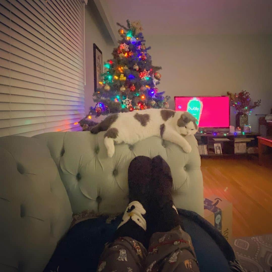 サイモンとマルティナのインスタグラム：「🎄 Home for the holidays. Meemers made his first trip to Canada like a superstar ✈️ We’re taking time now to hang with family, it’s also my (Martina) family’s first Christmas without my dad. 😔 So we’re just going to hang around and make Christmas cookies. Chill and watch funny movies. Truthfully, I’ve been dealing with a whole new slew of EDS symptoms. It’s very frustrating and sometimes scary. It’s okay, I’m dealing with it but I haven’t quite got a 💯 handle on it. I’ll get there, but I definitely need to take some chill time. Happy Holidays to my lovely community! 🌈 #buildaladder #rainbowladdersupportteam」