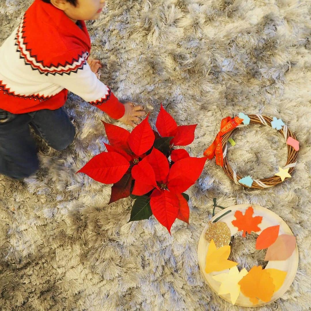 亀恭子のインスタグラム：「ポインセチア、 息子の手作りリースたち、 ついでにセーターも… . . . Christmas☆ですね . . #december #holidayseason #christmas #2019」