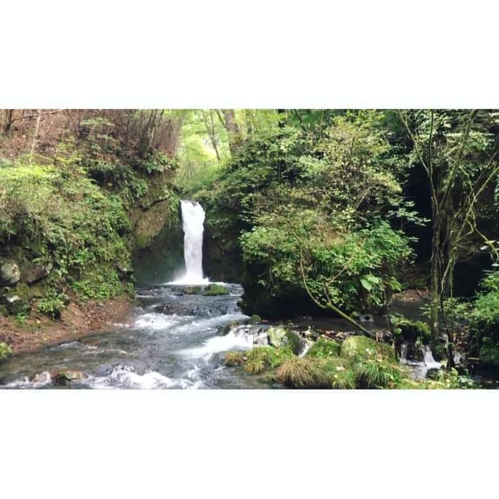 のインスタグラム：「. #竜返しの滝 . ※途中から音声あり . . 軽井沢で有名らしい #白糸の滝 ではなく、 その先の竜返しの滝の方が 好みっぽかったのでこちらへ☺︎ . 熊に注意の看板がある、 ひとけのない森の道を10分程歩いて 辿り着けます☺︎ 辿り着く前から樹々が綺麗で 終始景色を楽しめました＊＊ . #japantrip #karuizawa #shiraitofalls #ryugaeshifall #waterfall_japan #cameragirl #nature_japan #relaxvideo #国内旅行 #軽井沢 #滝 #カメラ女子 #マイナスイオン #日本の自然 #癒やしの空間」