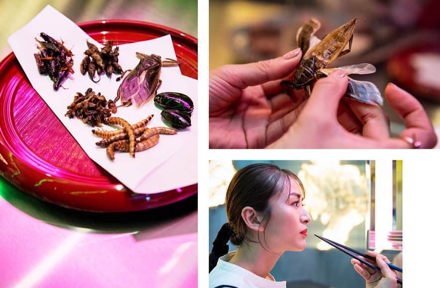 Yoshiko Kris-Webb クリス-ウェブ佳子さんのインスタグラム写真 - (Yoshiko Kris-Webb クリス-ウェブ佳子Instagram)「@kometocircus at @parco_shibuya_official 🐪🦌🦘🐑🐇🐝🐜🐛最近個人的にハマっている昆虫食とジビエが堪能できるレストラン、米とサーカス。渋谷PARCOに入店してます。タガメはラフランスの香りがして、味も塩漬けしたラフランス風。これまでジビエも色々食べてきましたが、この日は、人生で初めて奥歯にラクダが挟まった日となりました。」12月17日 19時13分 - tokyodame
