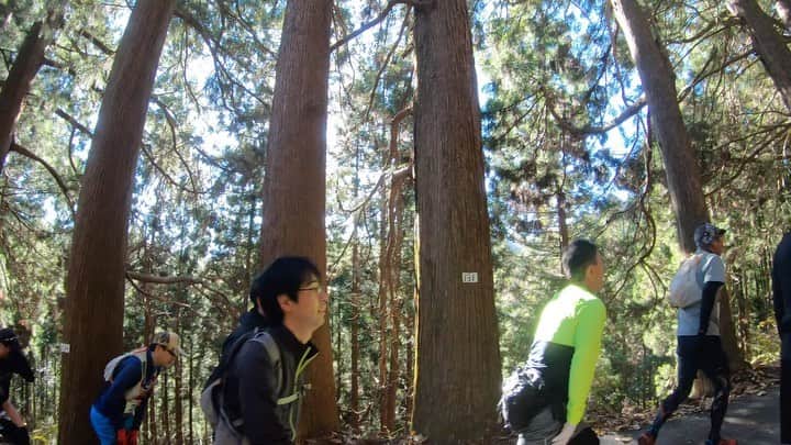 のインスタグラム：「① ⛰みたけ山トレイルラン⛰ ムービー編集が出来ましたぁ🎉 音声と併せてご覧下さいな😊 しかし、楽しかったなぁ…‼️‼️‼️ 皆様と色々会話しながらホームをゆっくりと👍 本当、良い所だなぁ🥰  撮影は、走るサブフォーマネージャーさんが撮ってくれました✋ （息切れ半端ないけど😎（笑）） #1 #最高に楽しかった #みたけ山トレイルラン #ゲストランナー #Home #love  #running #trail #trailrunning #トレイル #トレラン #トレイルランニング #mountain #山 #最高 #run #start #御岳山 #みたけ #ありがとうございました #active #outdoor #movie #GoPro #GoProのある生活 #🏃‍♂️ #❤ ️#⛰ #☀️ #😊」
