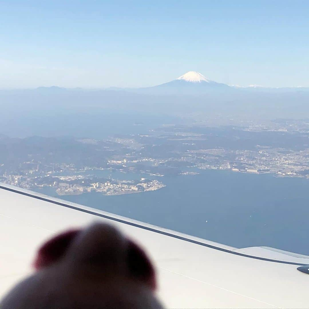 南日本新聞フェリアさんのインスタグラム写真 - (南日本新聞フェリアInstagram)「#富士山 ですわ🗻  #かこそら  #ふーちゃん #日本一 #ぬい撮り #南日本新聞 #勝手に鹿児島大使 #instadaily #felia」12月17日 12時15分 - felia_insta