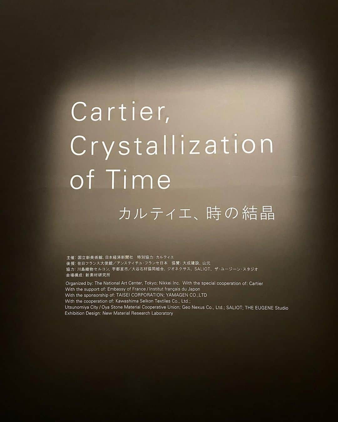 大石絵理さんのインスタグラム写真 - (大石絵理Instagram)「先日、カルティエの展覧会へ💎💎 美しいジュエリー達や、カルティエの歴史が展示されていて、終始うっとりでした🥺💕 素敵なジュエリーが似合う女性になりたい🥰 @darenogare.akemi とふたりで待ち受けにしました😂 がなかなかパンチが強いみたいでとても突っ込まれます😂😂」12月17日 12時46分 - erioishitokyo