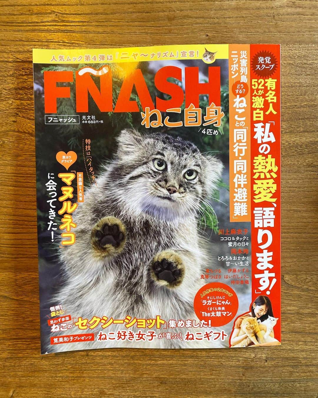 山田稔明さんのインスタグラム写真 - (山田稔明Instagram)「本日発売の「FNASH ねこ自身」にポチ実の記事が再録されてます。近藤さん、峯村さん、チャットモンチー済のあっこちゃんの愛猫たちも。マヌルネコのかわいらしさよ…。 #ポチ実」12月17日 12時48分 - toshiakiyamada