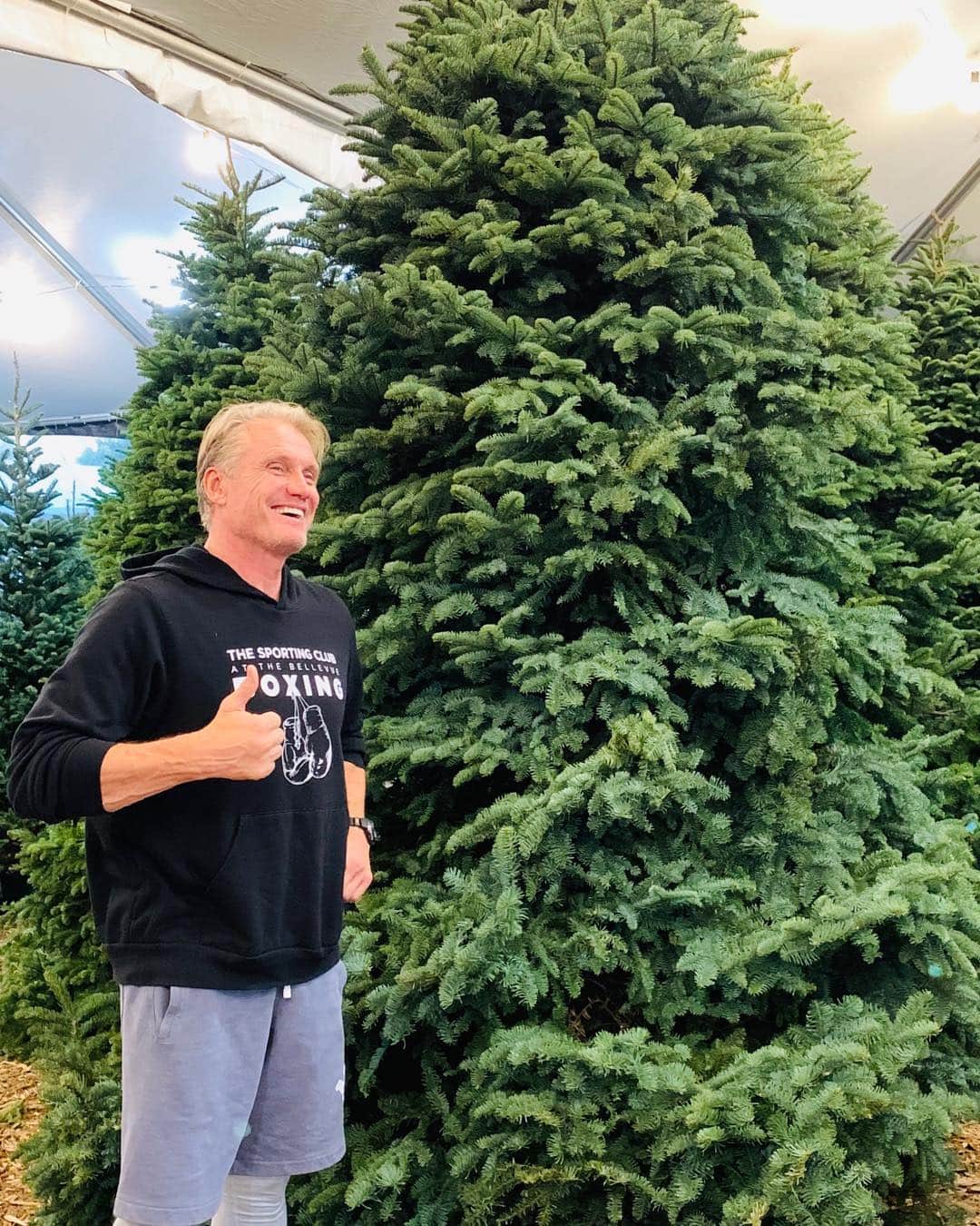 ドルフ・ラングレンのインスタグラム：「Found a Christmas tree the perfect size for my bedroom 👌🛌」