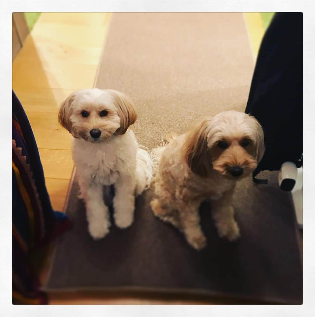 北山陽一のインスタグラム：「はい。出来るだけ早く帰ります。#きたやまおもち #きたやまおかき」